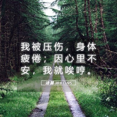 Picture 05 - 诗 篇 38:8 CUVS - 我 被 压 伤 ， 身 体 疲 倦 ； 因 心 - Bible Verse Picture