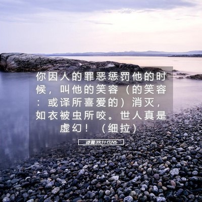 Picture 05 - 诗 篇 39:11 CUVS - 你 因 人 的 罪 恶 惩 罚 他 的 时 候 - Bible Verse Picture