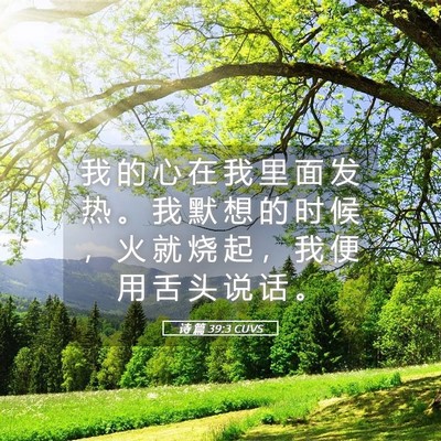 Picture 05 - 诗 篇 39:3 CUVS - 我 的 心 在 我 里 面 发 热 。 我 默 - Bible Verse Picture