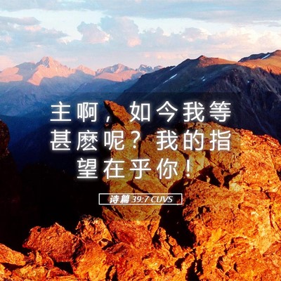 Picture 05 - 诗 篇 39:7 CUVS - 主 啊 ， 如 今 我 等 甚 麽 呢 ？ 我 - Bible Verse Picture