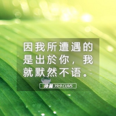 Picture 05 - 诗 篇 39:9 CUVS - 因 我 所 遭 遇 的 是 出 於 你 ， 我 - Bible Verse Picture