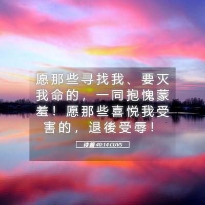 Picture 05 - 诗 篇 40:14 CUVS - 愿 那 些 寻 找 我 、 要 灭 我 命 的 - Bible Verse Picture