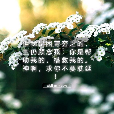 Picture 05 - 诗 篇 40:17 CUVS - 但 我 是 困 苦 穷 乏 的 ， 主 仍 顾 - Bible Verse Picture