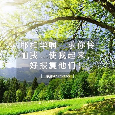 Picture 05 - 诗 篇 41:10 CUVS - 耶 和 华 啊 ， 求 你 怜 恤 我 ， 使 - Bible Verse Picture