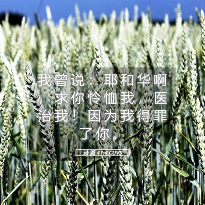Picture 05 - 诗 篇 41:4 CUVS - 我 曾 说 ： 耶 和 华 啊 ， 求 你 怜 - Bible Verse Picture
