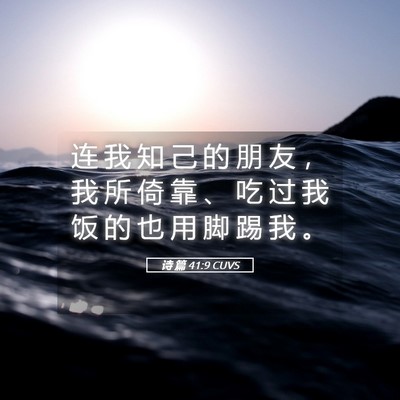 Picture 05 - 诗 篇 41:9 CUVS - 连 我 知 己 的 朋 友 ， 我 所 倚 靠 - Bible Verse Picture