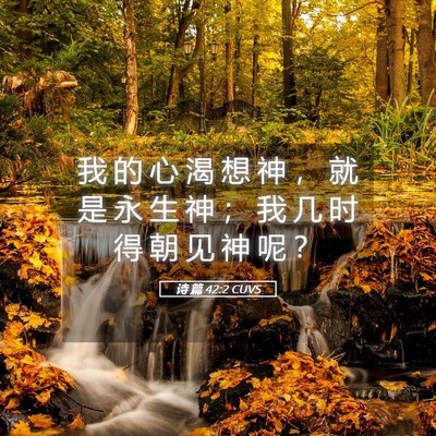 Picture 05 - 诗 篇 42:2 CUVS - 我 的 心 渴 想 神 ， 就 是 永 生 神 - Bible Verse Picture