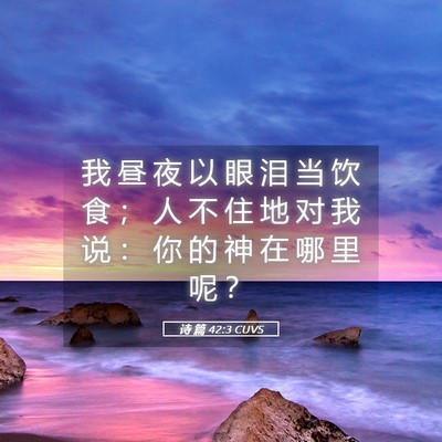 Picture 05 - 诗 篇 42:3 CUVS - 我 昼 夜 以 眼 泪 当 饮 食 ； 人 不 - Bible Verse Picture