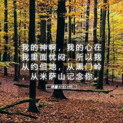 Picture 05 - 诗 篇 42:6 CUVS - 我 的 神 啊 ， 我 的 心 在 我 里 面 - Bible Verse Picture