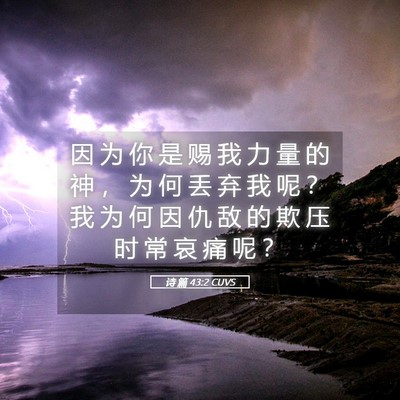 Picture 05 - 诗 篇 43:2 CUVS - 因 为 你 是 赐 我 力 量 的 神 ， 为 - Bible Verse Picture