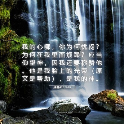 Picture 05 - 诗 篇 43:5 CUVS - 我 的 心 哪 ， 你 为 何 忧 闷 ？ 为 - Bible Verse Picture