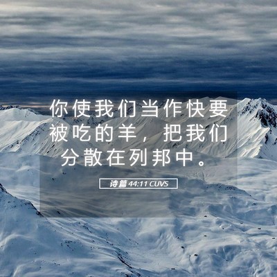 Picture 05 - 诗 篇 44:11 CUVS - 你 使 我 们 当 作 快 要 被 吃 的 羊 - Bible Verse Picture