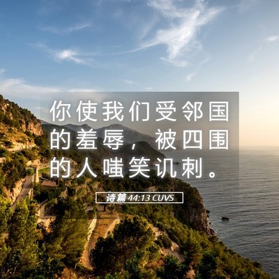 Picture 05 - 诗 篇 44:13 CUVS - 你 使 我 们 受 邻 国 的 羞 辱 ， 被 - Bible Verse Picture