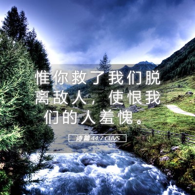 Picture 05 - 诗 篇 44:7 CUVS - 惟 你 救 了 我 们 脱 离 敌 人 ， 使 - Bible Verse Picture