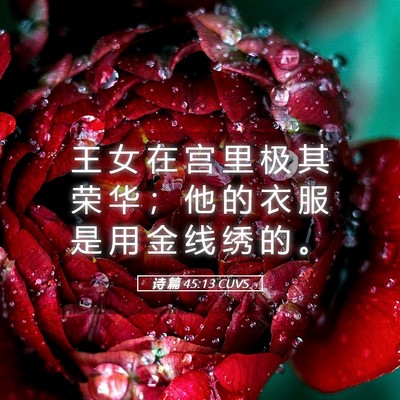Picture 05 - 诗 篇 45:13 CUVS - 王 女 在 宫 里 极 其 荣 华 ； 他 的 - Bible Verse Picture
