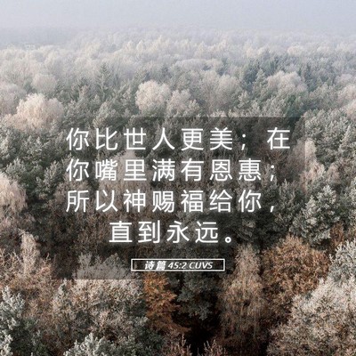 Picture 05 - 诗 篇 45:2 CUVS - 你 比 世 人 更 美 ； 在 你 嘴 里 满 - Bible Verse Picture