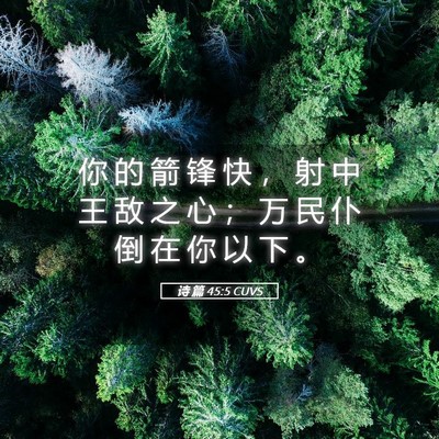 Picture 05 - 诗 篇 45:5 CUVS - 你 的 箭 锋 快 ， 射 中 王 敌 之 心 - Bible Verse Picture