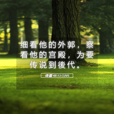 Picture 05 - 诗 篇 48:13 CUVS - 细 看 他 的 外 郭 ， 察 看 他 的 宫 - Bible Verse Picture