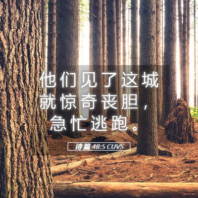 Picture 05 - 诗 篇 48:5 CUVS - 他 们 见 了 这 城 就 惊 奇 丧 胆 ， - Bible Verse Picture