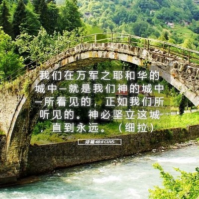 Picture 05 - 诗 篇 48:8 CUVS - 我 们 在 万 军 之 耶 和 华 的 城 中 - Bible Verse Picture