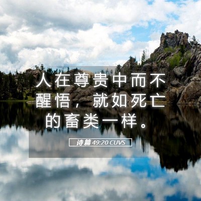 Picture 05 - 诗 篇 49:20 CUVS - 人 在 尊 贵 中 而 不 醒 悟 ， 就 如 - Bible Verse Picture