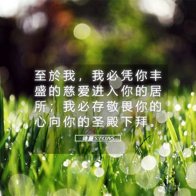 Picture 05 - 诗 篇 5:7 CUVS - 至 於 我 ， 我 必 凭 你 丰 盛 的 慈 - Bible Verse Picture