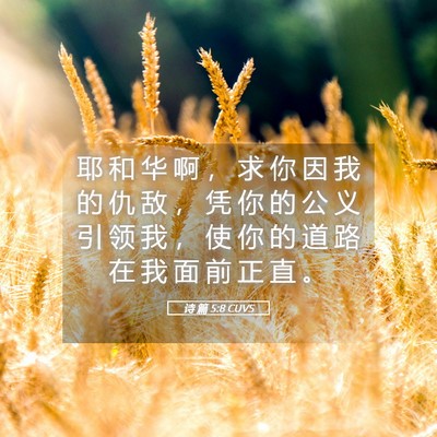 Picture 05 - 诗 篇 5:8 CUVS - 耶 和 华 啊 ， 求 你 因 我 的 仇 敌 - Bible Verse Picture