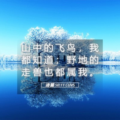 Picture 05 - 诗 篇 50:11 CUVS - 山 中 的 飞 鸟 ， 我 都 知 道 ； 野 - Bible Verse Picture