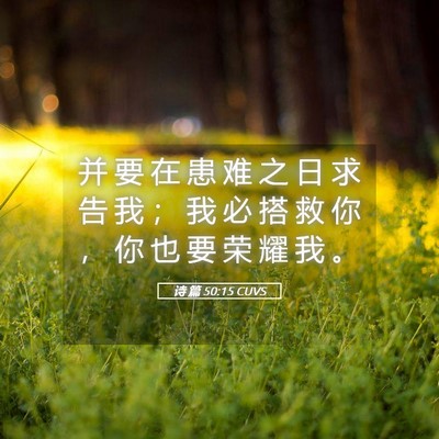 Picture 05 - 诗 篇 50:15 CUVS - 并 要 在 患 难 之 日 求 告 我 ； 我 - Bible Verse Picture