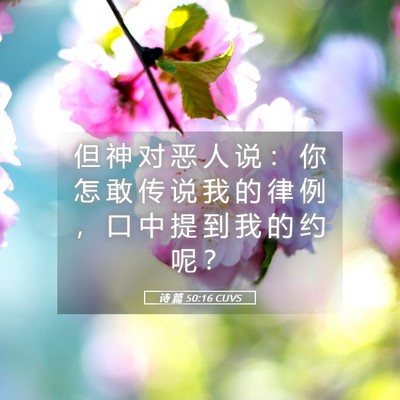 Picture 05 - 诗 篇 50:16 CUVS - 但 神 对 恶 人 说 ： 你 怎 敢 传 说 - Bible Verse Picture