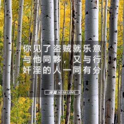 Picture 05 - 诗 篇 50:18 CUVS - 你 见 了 盗 贼 就 乐 意 与 他 同 夥 - Bible Verse Picture