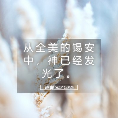 Picture 05 - 诗 篇 50:2 CUVS - 从 全 美 的 锡 安 中 ， 神 已 经 发 - Bible Verse Picture
