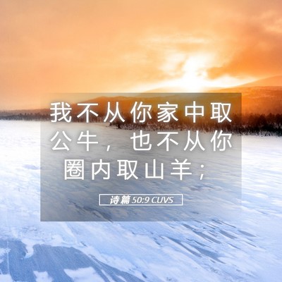 Picture 05 - 诗 篇 50:9 CUVS - 我 不 从 你 家 中 取 公 牛 ， 也 不 - Bible Verse Picture