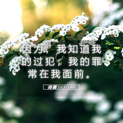 Picture 05 - 诗 篇 51:3 CUVS - 因 为 ， 我 知 道 我 的 过 犯 ； 我 - Bible Verse Picture