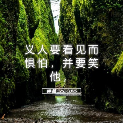 Picture 05 - 诗 篇 52:6 CUVS - 义 人 要 看 见 而 惧 怕 ， 并 要 笑 - Bible Verse Picture
