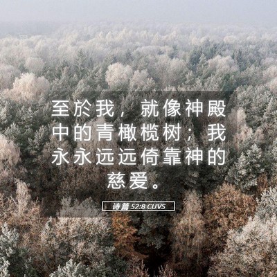 Picture 05 - 诗 篇 52:8 CUVS - 至 於 我 ， 就 像 神 殿 中 的 青 橄 - Bible Verse Picture