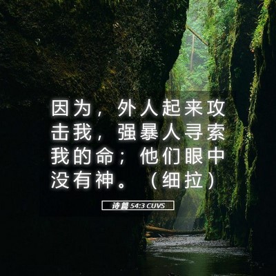Picture 05 - 诗 篇 54:3 CUVS - 因 为 ， 外 人 起 来 攻 击 我 ， 强 - Bible Verse Picture