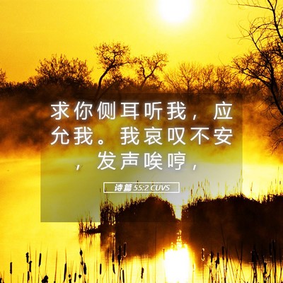 Picture 05 - 诗 篇 55:2 CUVS - 求 你 侧 耳 听 我 ， 应 允 我 。 我 - Bible Verse Picture
