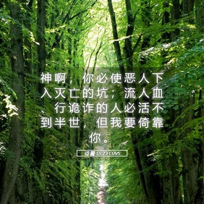 Picture 05 - 诗 篇 55:23 CUVS - 神 啊 ， 你 必 使 恶 人 下 入 灭 亡 - Bible Verse Picture