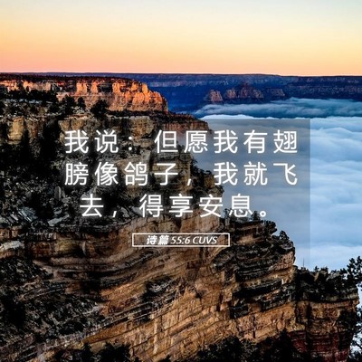 Picture 05 - 诗 篇 55:6 CUVS - 我 说 ： 但 愿 我 有 翅 膀 像 鸽 子 - Bible Verse Picture