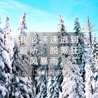Picture 05 - 诗 篇 55:8 CUVS - 我 必 速 速 逃 到 避 所 ， 脱 离 狂 - Bible Verse Picture