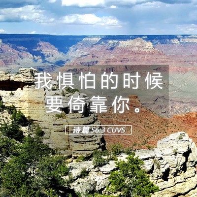 Picture 05 - 诗 篇 56:3 CUVS - 我 惧 怕 的 时 候 要 倚 靠 你 - Bible Verse Picture