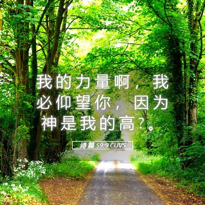 Picture 05 - 诗 篇 59:9 CUVS - 我 的 力 量 啊 ， 我 必 仰 望 你 ， - Bible Verse Picture