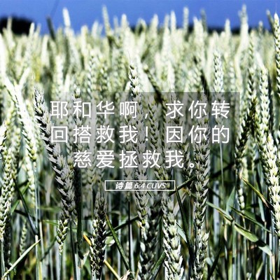 Picture 05 - 诗 篇 6:4 CUVS - 耶 和 华 啊 ， 求 你 转 回 搭 救 我 - Bible Verse Picture