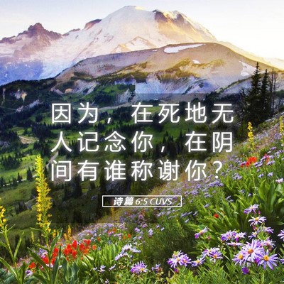 Picture 05 - 诗 篇 6:5 CUVS - 因 为 ， 在 死 地 无 人 记 念 你 ， - Bible Verse Picture