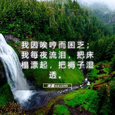 Picture 05 - 诗 篇 6:6 CUVS - 我 因 唉 哼 而 困 乏 ； 我 每 夜 流 - Bible Verse Picture