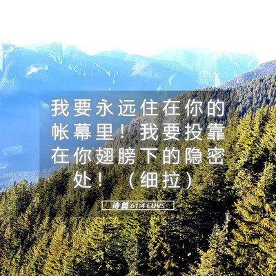 Picture 05 - 诗 篇 61:4 CUVS - 我 要 永 远 住 在 你 的 帐 幕 里 ！ - Bible Verse Picture