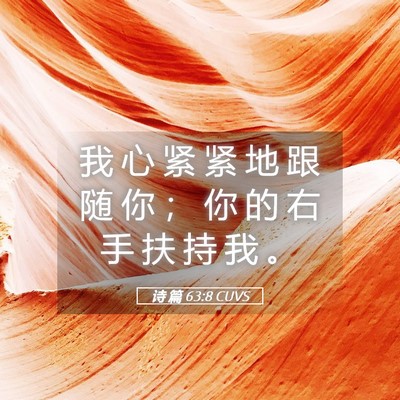 Picture 05 - 诗 篇 63:8 CUVS - 我 心 紧 紧 地 跟 随 你 ； 你 的 右 - Bible Verse Picture