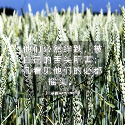 Picture 05 - 诗 篇 64:8 CUVS - 他 们 必 然 绊 跌 ， 被 自 己 的 舌 - Bible Verse Picture