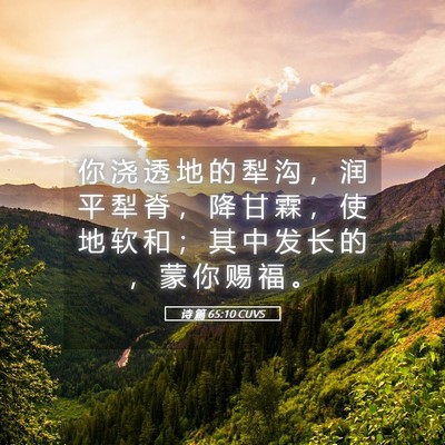Picture 05 - 诗 篇 65:10 CUVS - 你 浇 透 地 的 犁 沟 ， 润 平 犁 脊 - Bible Verse Picture